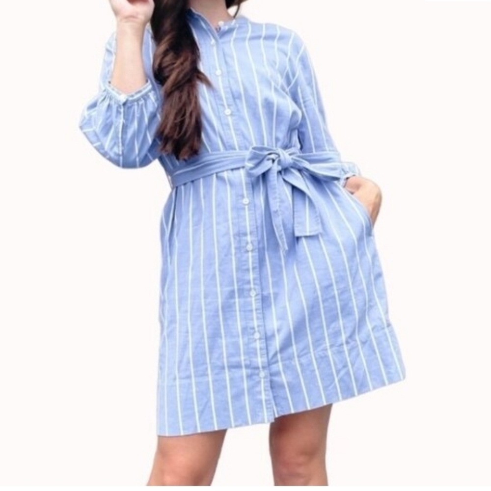 Everlane Blue and White Striped Button‑Front Shirt Dress